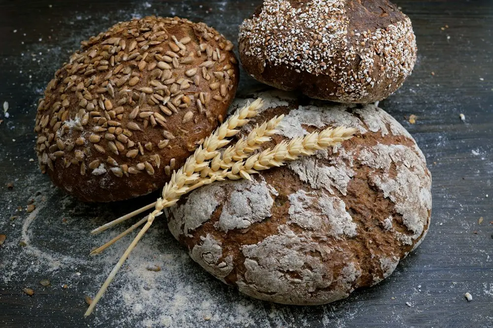 Morning Sourdough
